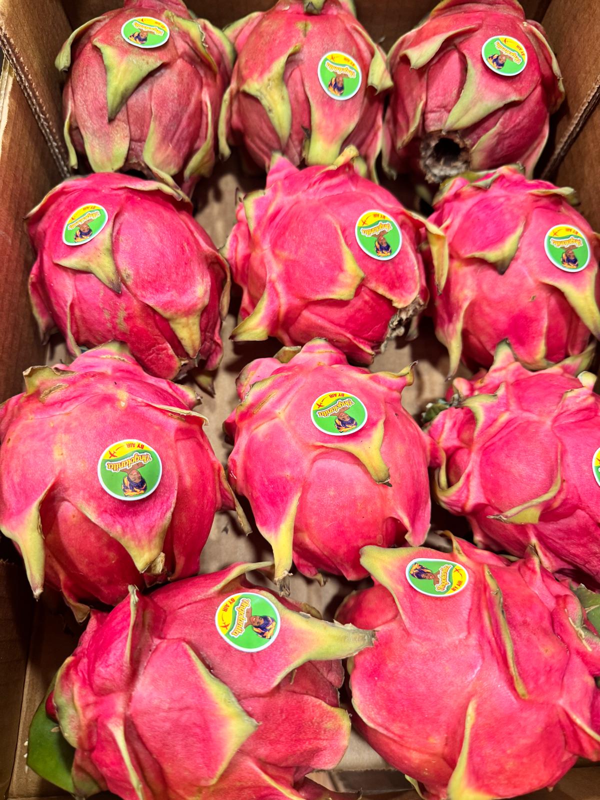 Pitaia e fruta exótica